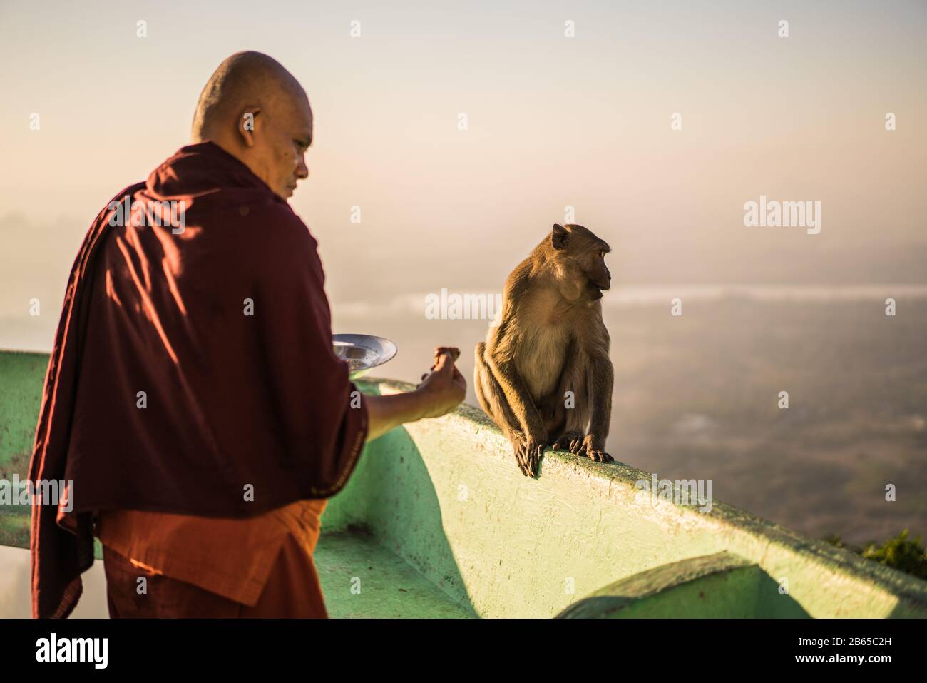 Monk nourrit le singe, la Pagode Sandawshin Zwegabin, hPa an, Myanmar, Asie. Banque D'Images