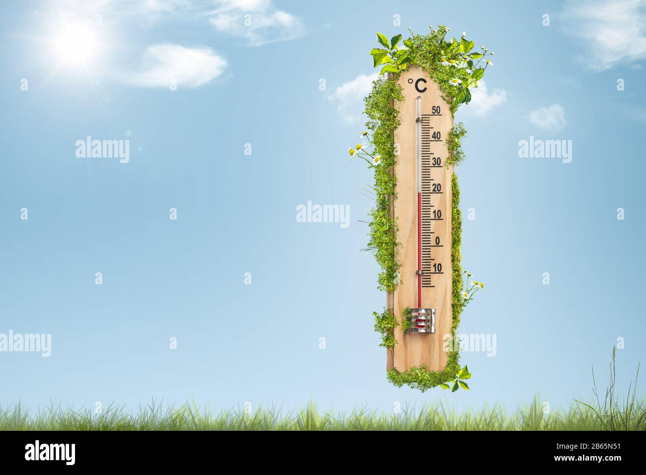 Temps de printemps - thermomètre surcultivé avec des feuilles et des fleurs Banque D'Images