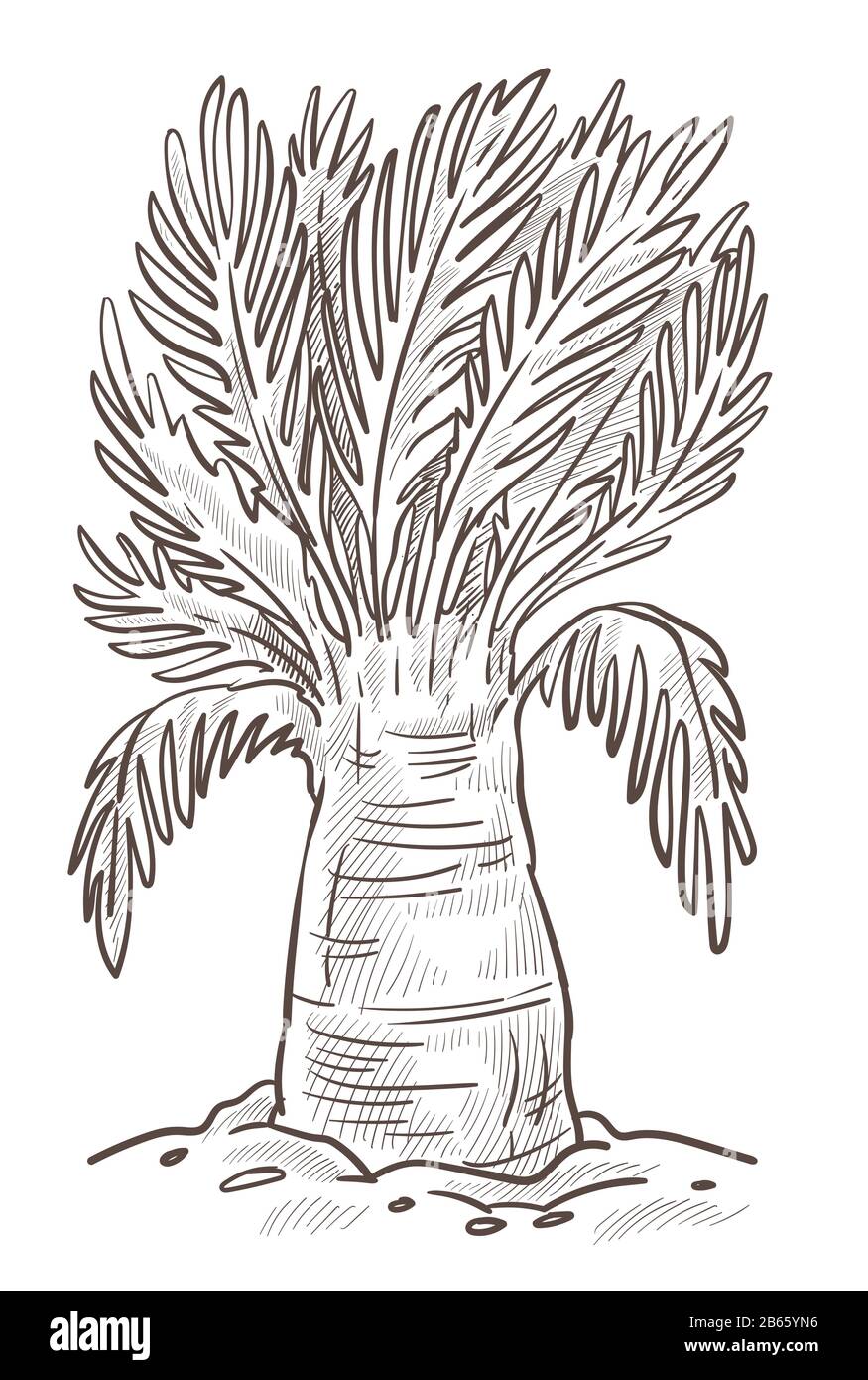 Arbre de banane ou esquisse isolée au palmier, plante sauvage de nature Illustration de Vecteur