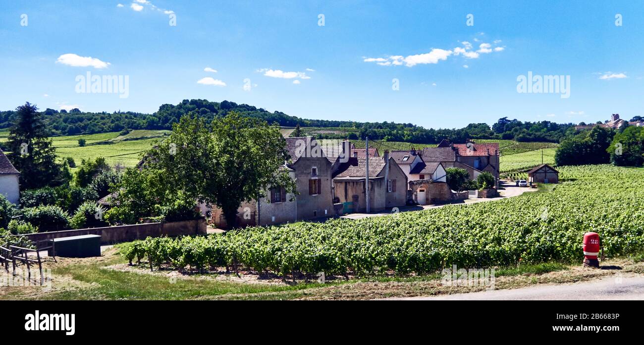 Europe, France , Bourgogne-Franche-Comté, Département, Mercurey Village , Banque D'Images