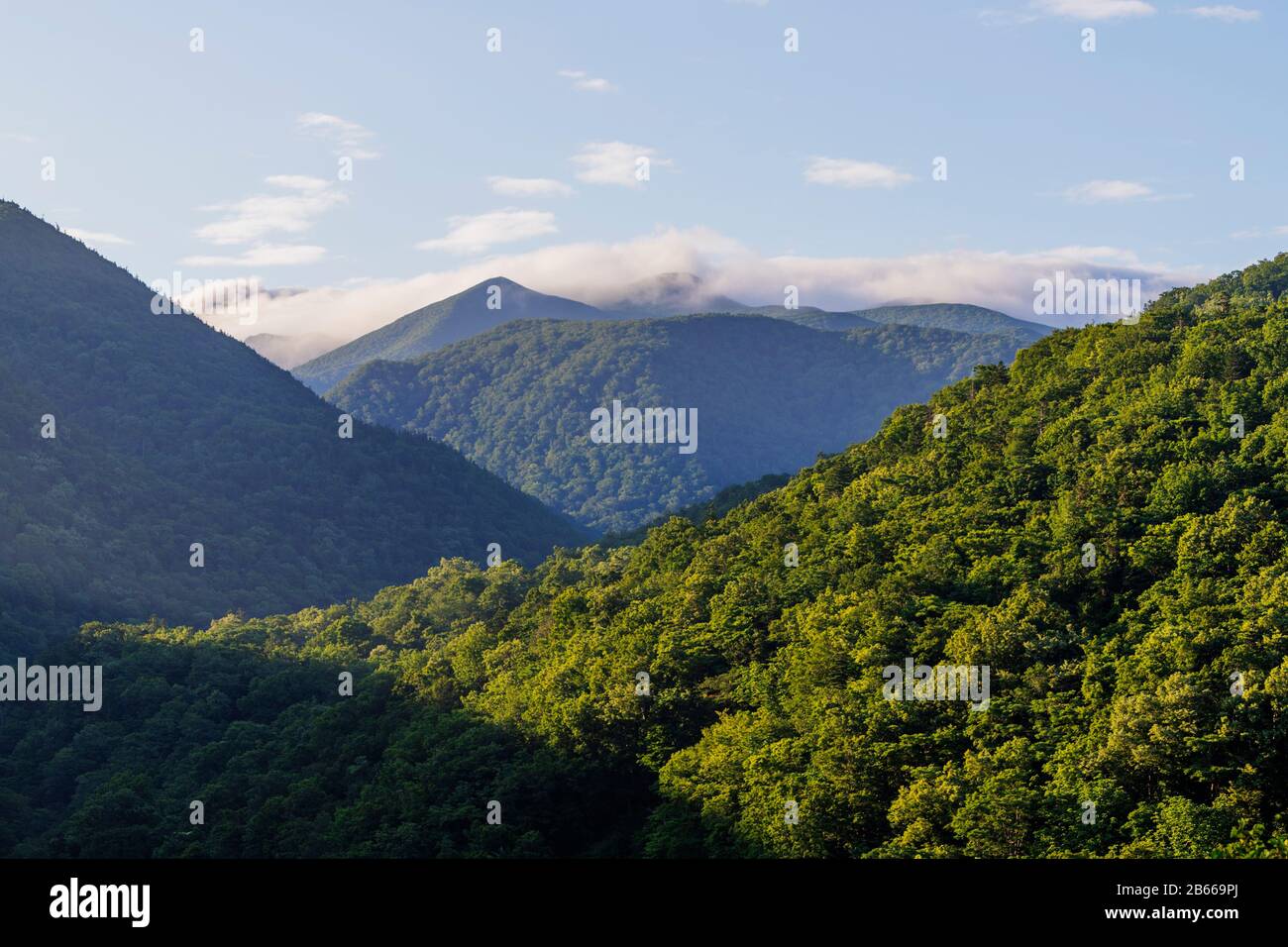 Japon, Hokkaido, Parc National De Shiretoko Banque D'Images