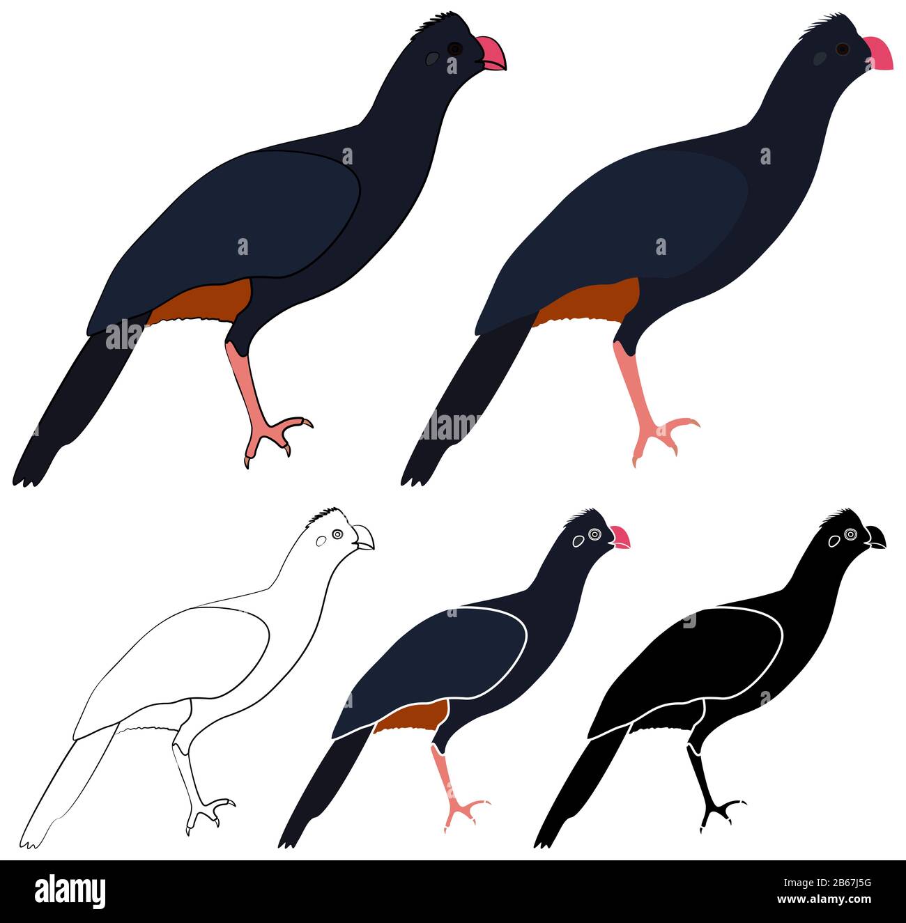 Northeast Mutum Bird dans la vue de profil Illustration de Vecteur