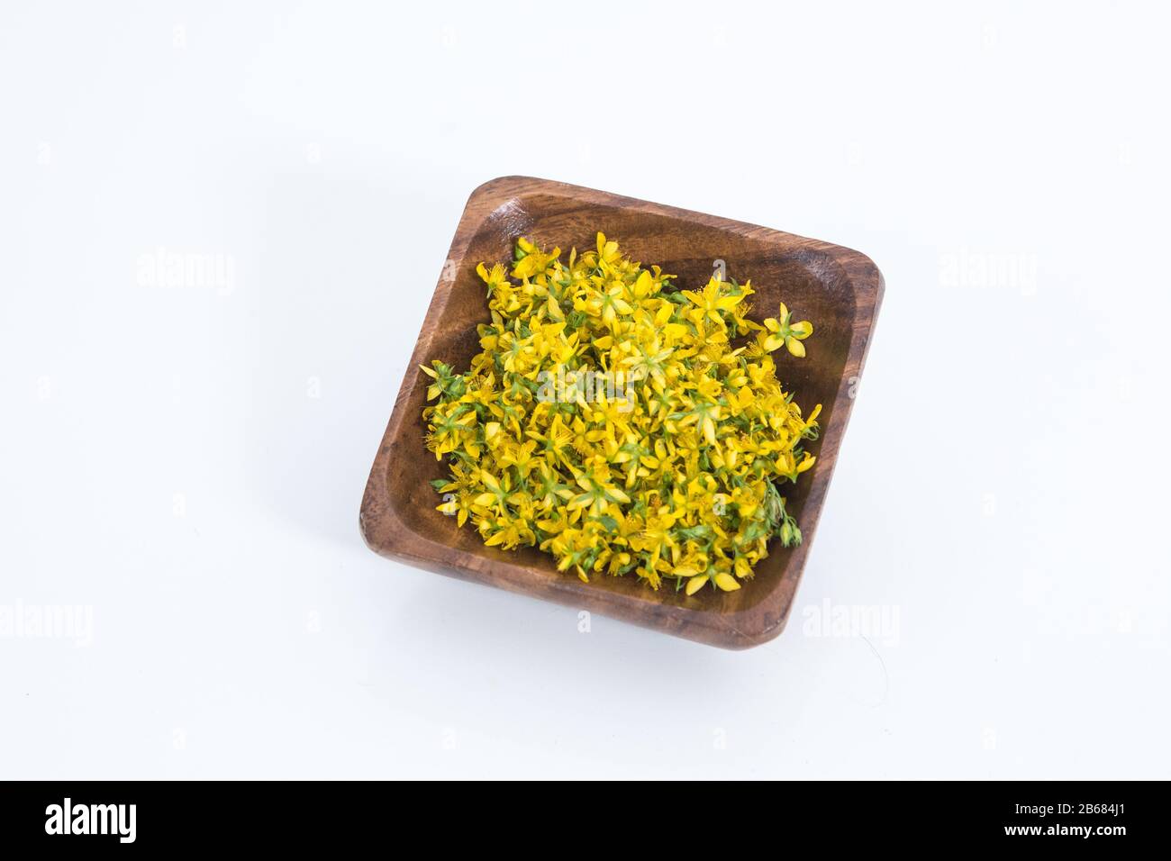 Le perforate St John's-wort est une plante très rare et saine Banque D'Images