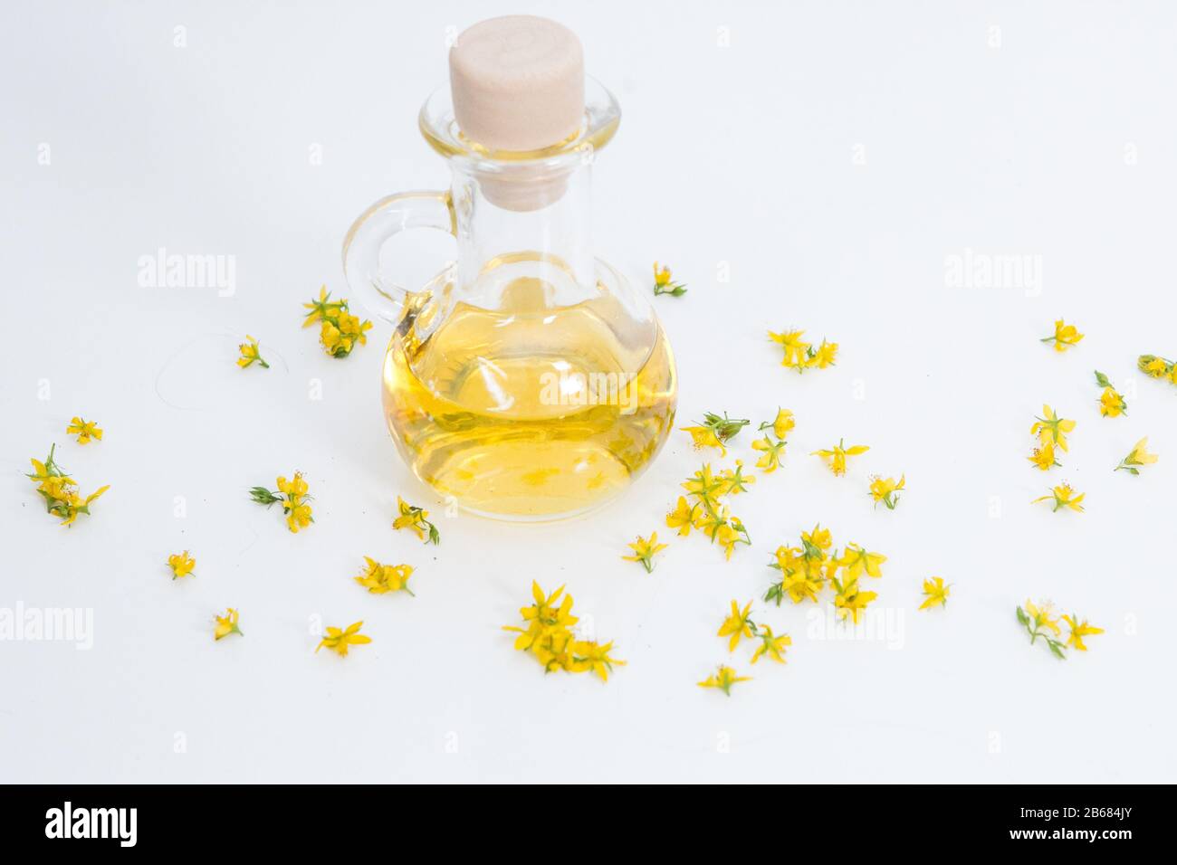 Le perforate St John's-wort est une plante très rare et saine Banque D'Images