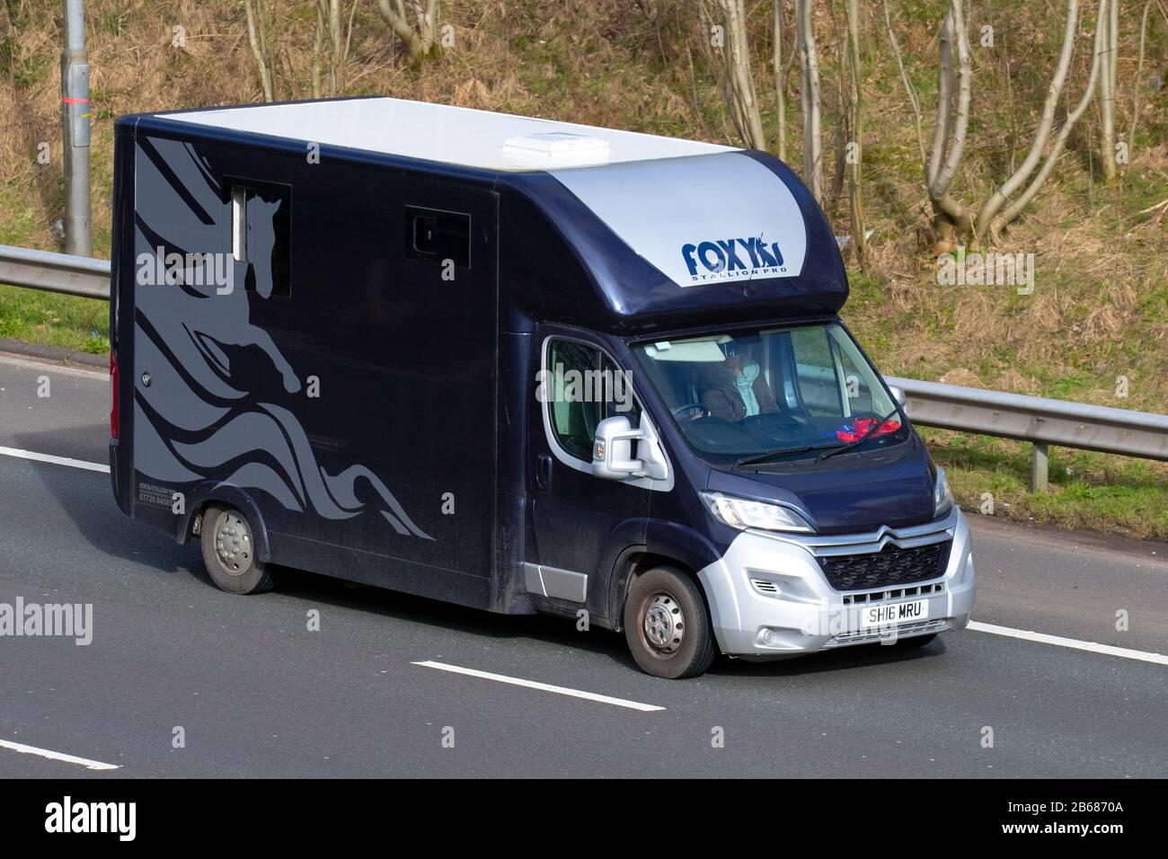 Relais Citroën noir argent 2016 35 L 3 H 2 Enterprise, Foxy stallion pro ; Horses, spécialiste en chevaux de cheval, a converti le transport d'animaux de luxe sur l'autoroute M 6. Chorley, Royaume-Uni Banque D'Images