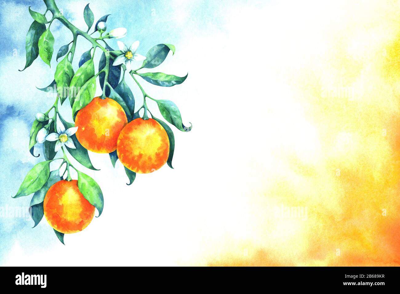 Fond dégradé bleu et orange aquarelle avec branche orange Banque D'Images