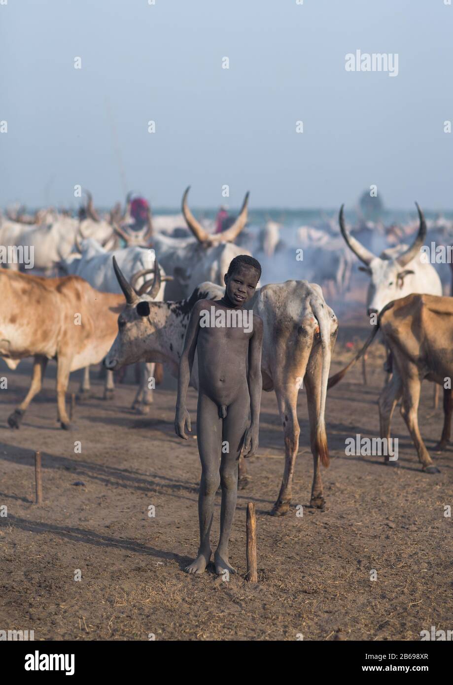 Le garçon de la tribu Mundari au milieu de longues vaches cornes dans un camp de bétail, Equatoria central, Terekeka, Soudan du Sud Banque D'Images