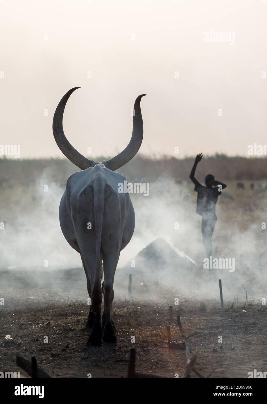 Un garçon de la tribu Mundari imite la position des cornes de vache, son favori, l'Équatoria central Terekeka, au Soudan du Sud Banque D'Images