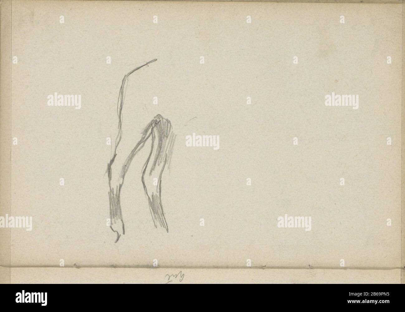 Arrière-quart d'un animal abdomen d'un animal. 41 pages d'un croquis avec 46 lames faites à Amsterdam. Fabricant : artiste George Hendrik Breitner lieu de fabrication: Amsterdam Date: 1900 - 1901 Caractéristiques physiques: Crayon matière: Crayon papier Sujet: Animaux Banque D'Images