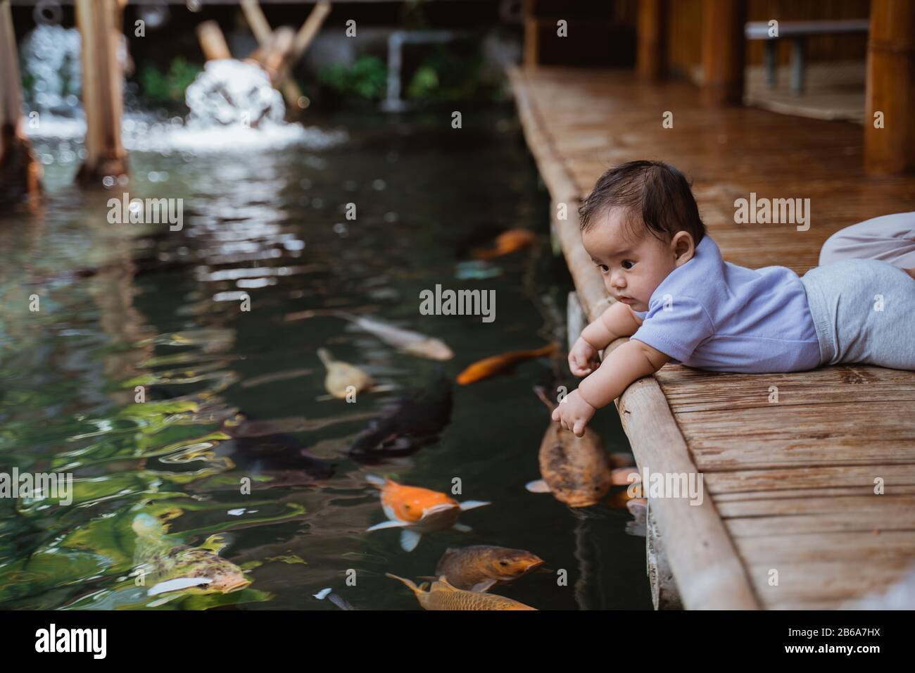 Koi Pond Banque D Image Et Photos Alamy