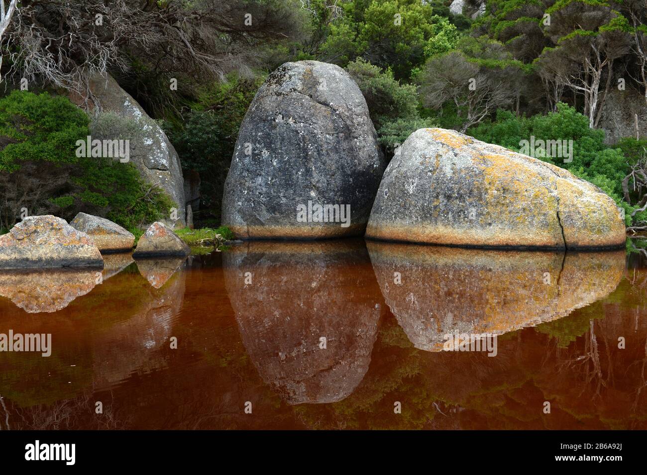 Des rochers massifs de granit ornent la côte comme des sculptures naturelles à Wilsons Prom, Victoria, Australie Banque D'Images