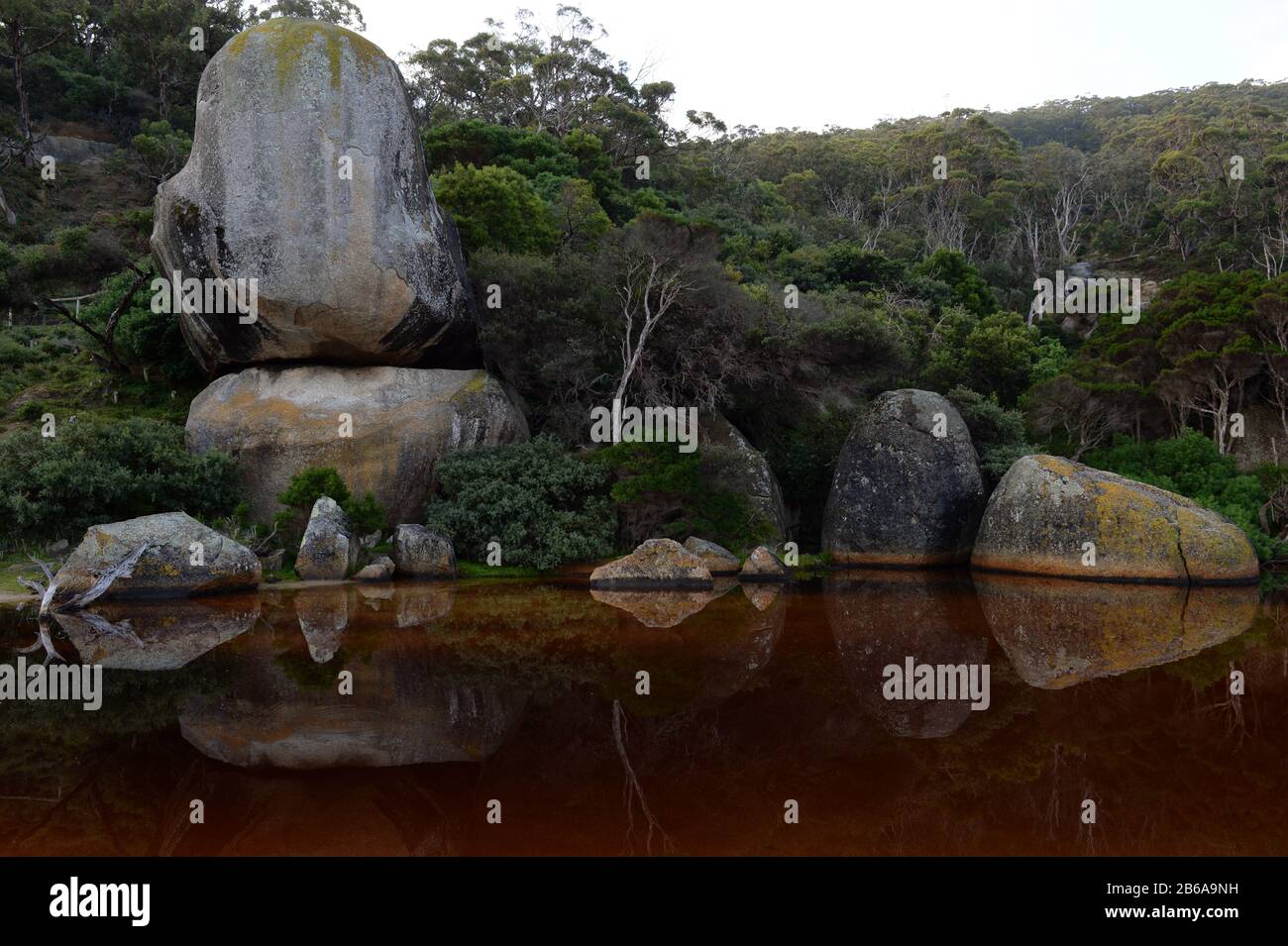 Des rochers massifs de granit ornent la côte comme des sculptures naturelles à Wilsons Prom, Victoria, Australie Banque D'Images