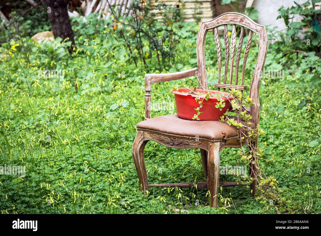 Ancienne chaise cassée dans un jardin Banque D'Images