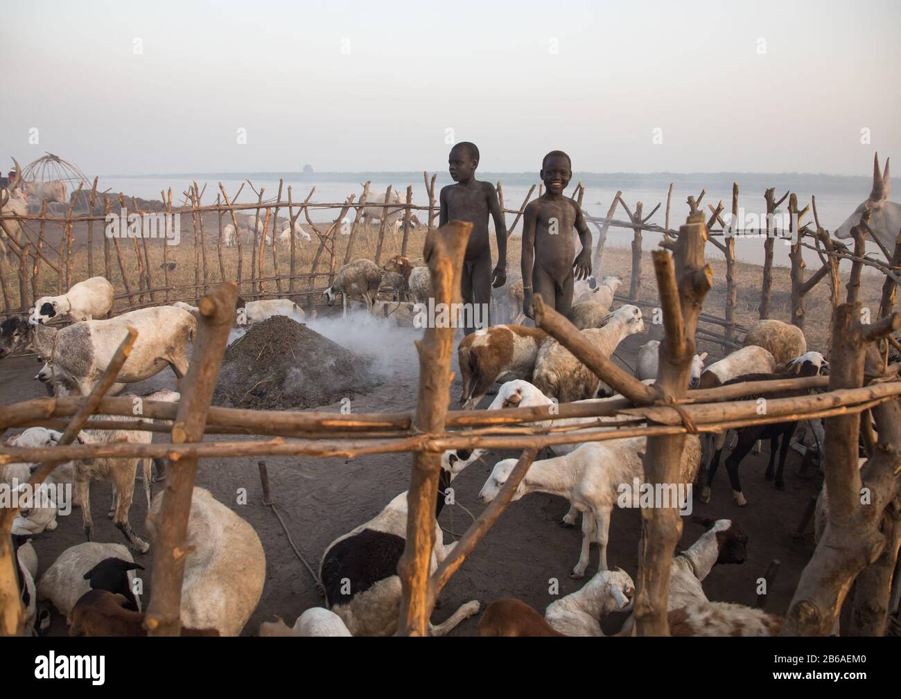 Les garçons de la tribu Mundari s'occupent des moutons dans le camp de bétail, l'Equatoria central, Terekeka, Soudan du Sud Banque D'Images