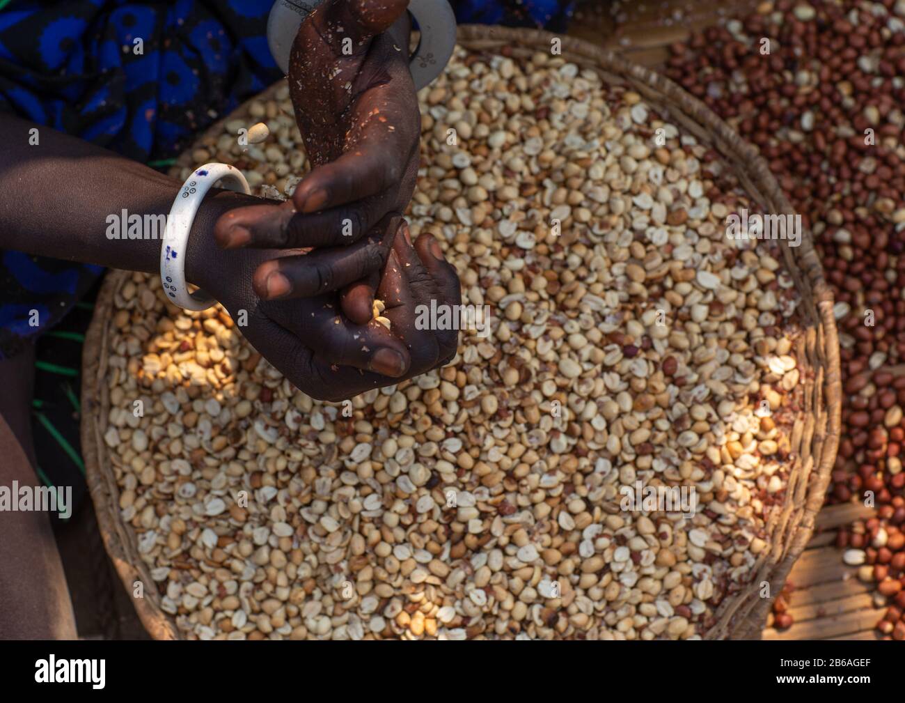 Femme de la tribu Mundari enlevant la peau des arachides, Equatoria central, Terekeka, Soudan du Sud Banque D'Images