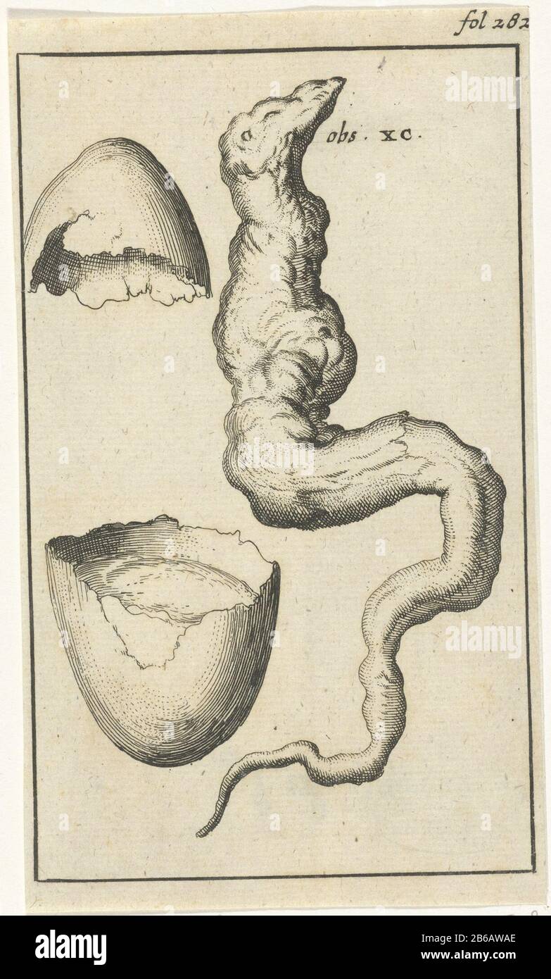 Schéma anatomique IX Imprimer à droite libellé : FOL. 282. Fabricant : printmaker Jan Luyken Editeur: Jan Claesz ten Hoor lieu de fabrication: Amsterdam Date: 1680 - 1688 Caractéristiques physiques: Matière de gravure: Technique du papier: Gravure Dimensions: Feuille: H 138 mm × W 79 mmTopelichtingillustratie inclus dans: Blankaart, Steven. Collectanea medico-physica, souvent Hollands année-registre du médicament et de la nature qualifiés dans les remarques d'art, 3 parties, vol. I, fol. 282. Amsterdam: Jan Claesz À Hoorn, 1680-1688. Objet : modèles anatomiques (généralement série de cinq figures) biologie Banque D'Images