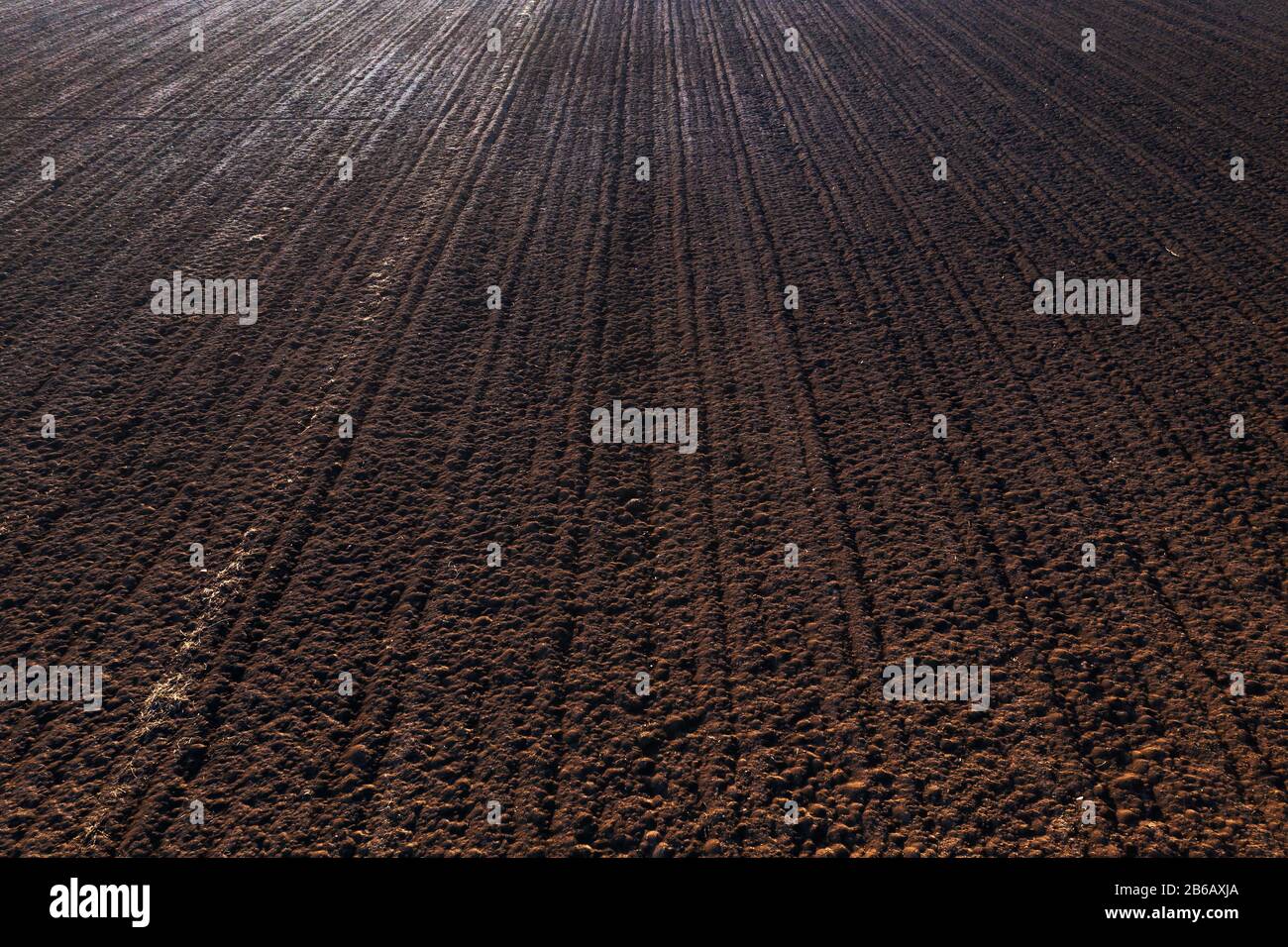 Vue aérienne des terres agricoles labouées et irriguées prêtes à semer les cultures comme arrière-plan agricole Banque D'Images