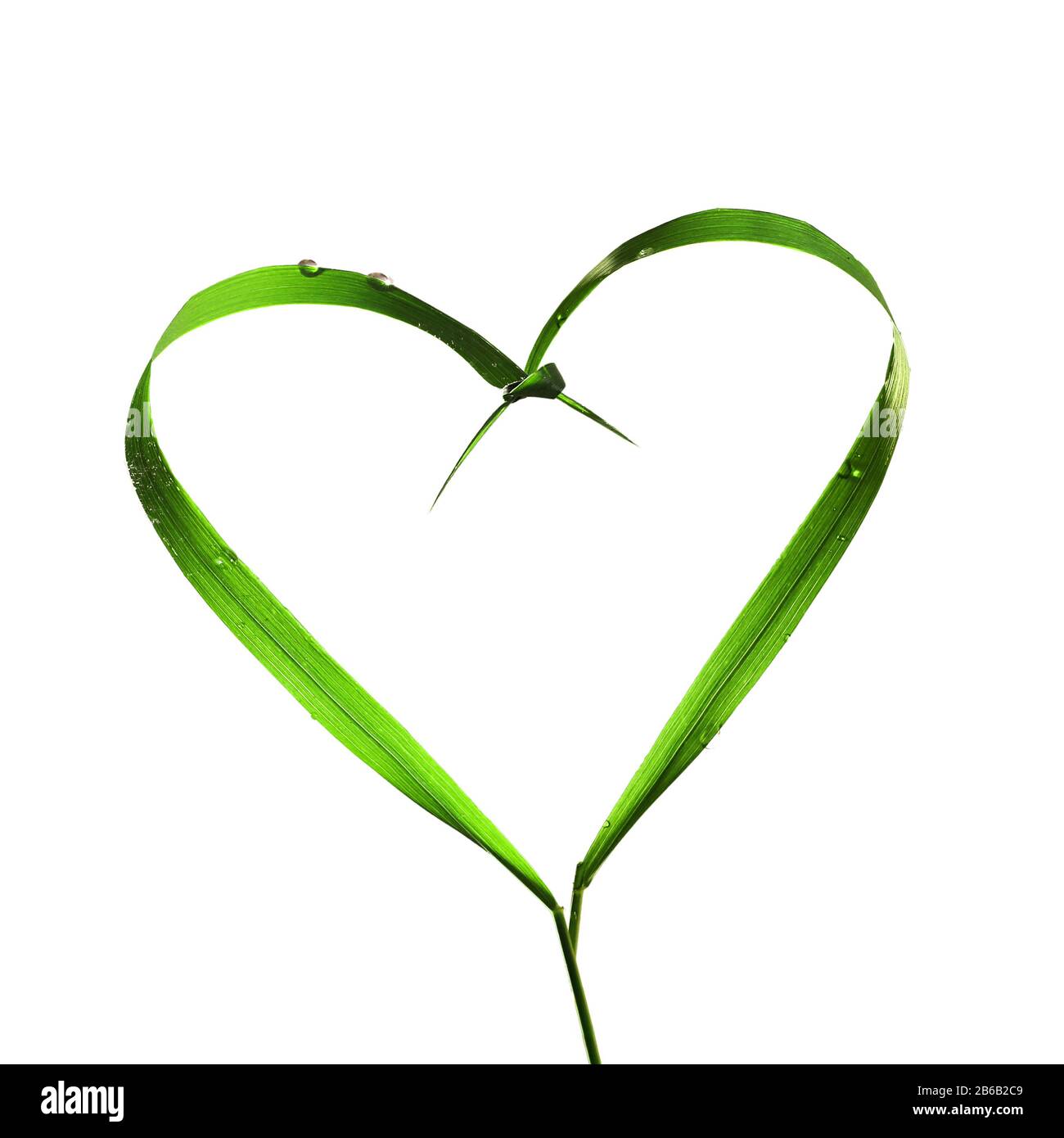 Coeur avec des lames d'herbe, écologie Banque D'Images