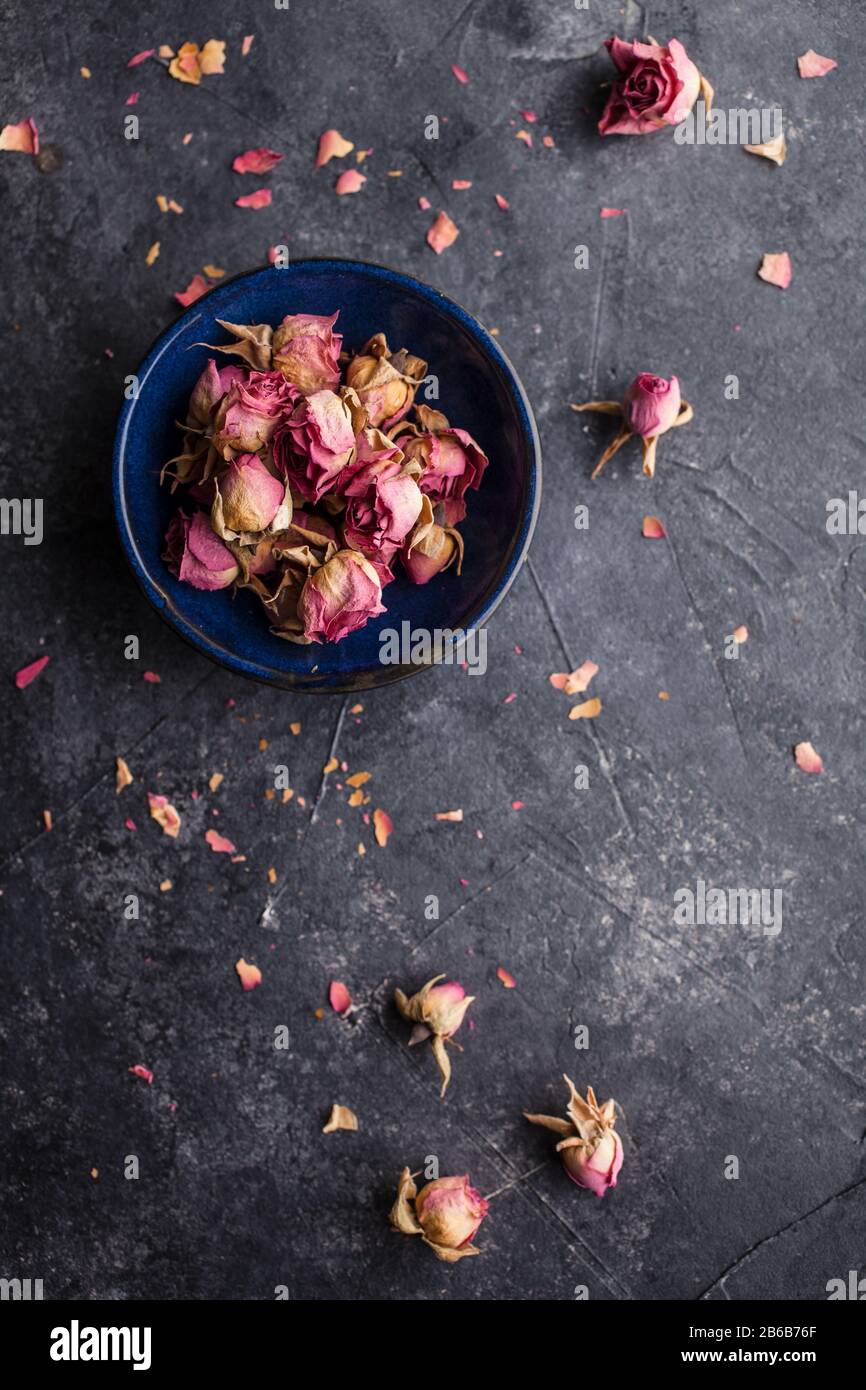Boutons roses secs sur fond sombre Banque D'Images