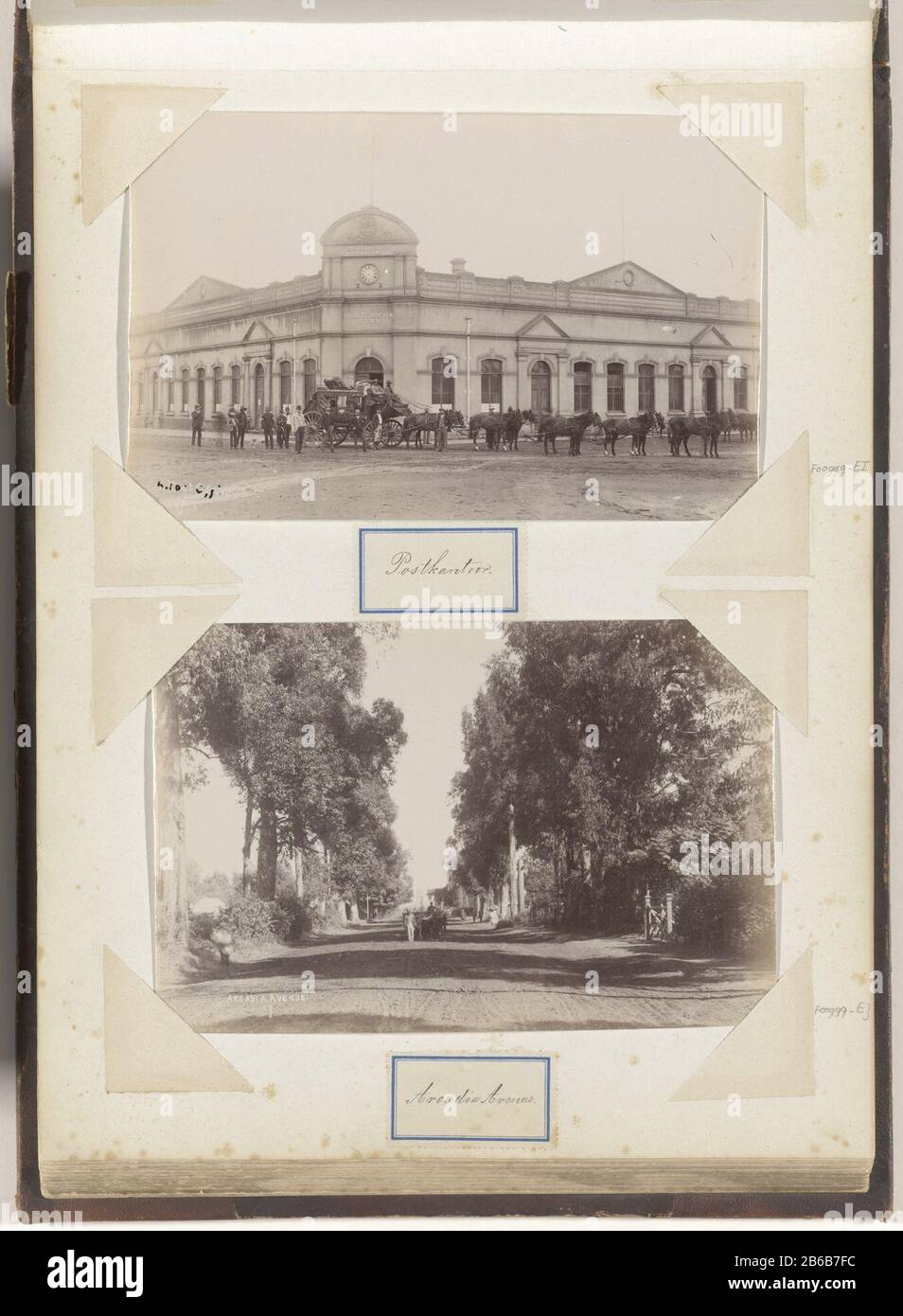 Avenue Arcadia à Pretoria avenue Arcadia (titre objet) avenue Arcadia (titre objet) partie de l'album avec 191 photos d'un voyage à et par l'Afrique du Sud. Fabricant : Photographe: Fabrication anonyme de place Pretoria Dating: CA. 1890 - ca. 1918 Caractéristiques physiques: Papier photo technique: Albumen imprimer dimensions: Photo: H 129 mm × W 197 mm Objet: Avenue, boulevard, promenade, esplanade (+ ville (-scape) avec chiffres, étalage) Où: Pretoria Banque D'Images