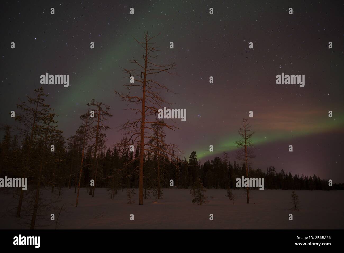 Magnifiques aurores boréales (aurores boréales) capturées à Luosto, Laponie, Finlande avec ciel clair et étoiles. Banque D'Images