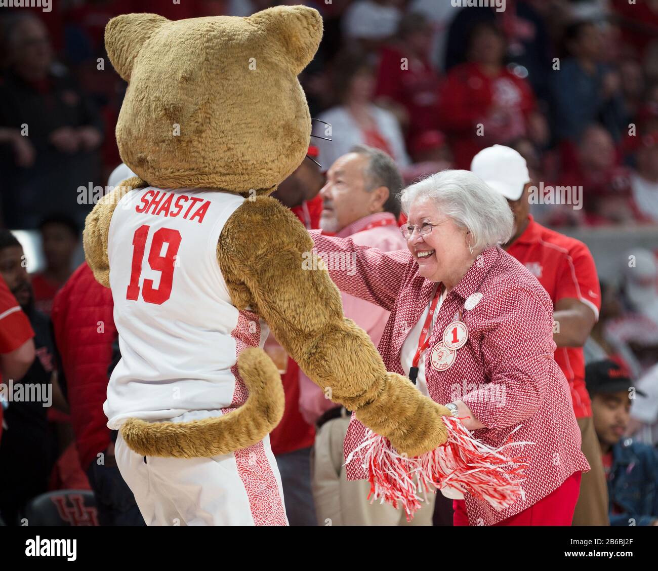 8 mars 2020: Houston Cougars costamed mascotte Shasta danse avec un fan pendant le match de basket-ball NCAA entre les Tigers de Memphis et les Cougars de Houston au Centre Fertitta à Houston, Texas. Houston a vaincu Memphis 64-57. Prentice C. James/CSM Banque D'Images