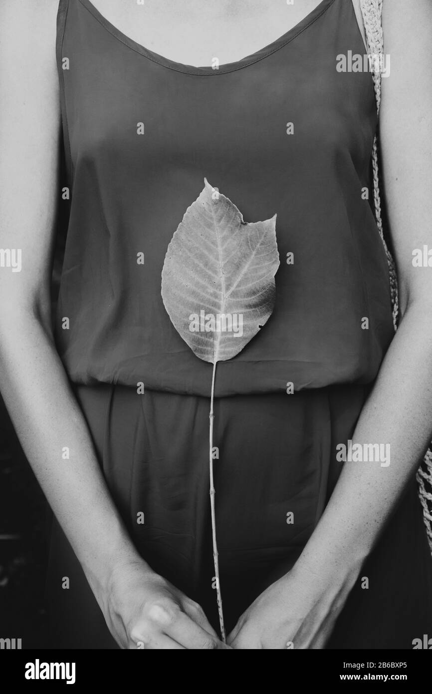 Femme en robe rouge tient une feuille verte exotique, noir et blanc bas-clé. Apprécier, aimer le concept de nature: Femme avec une belle feuille sur son corps Banque D'Images