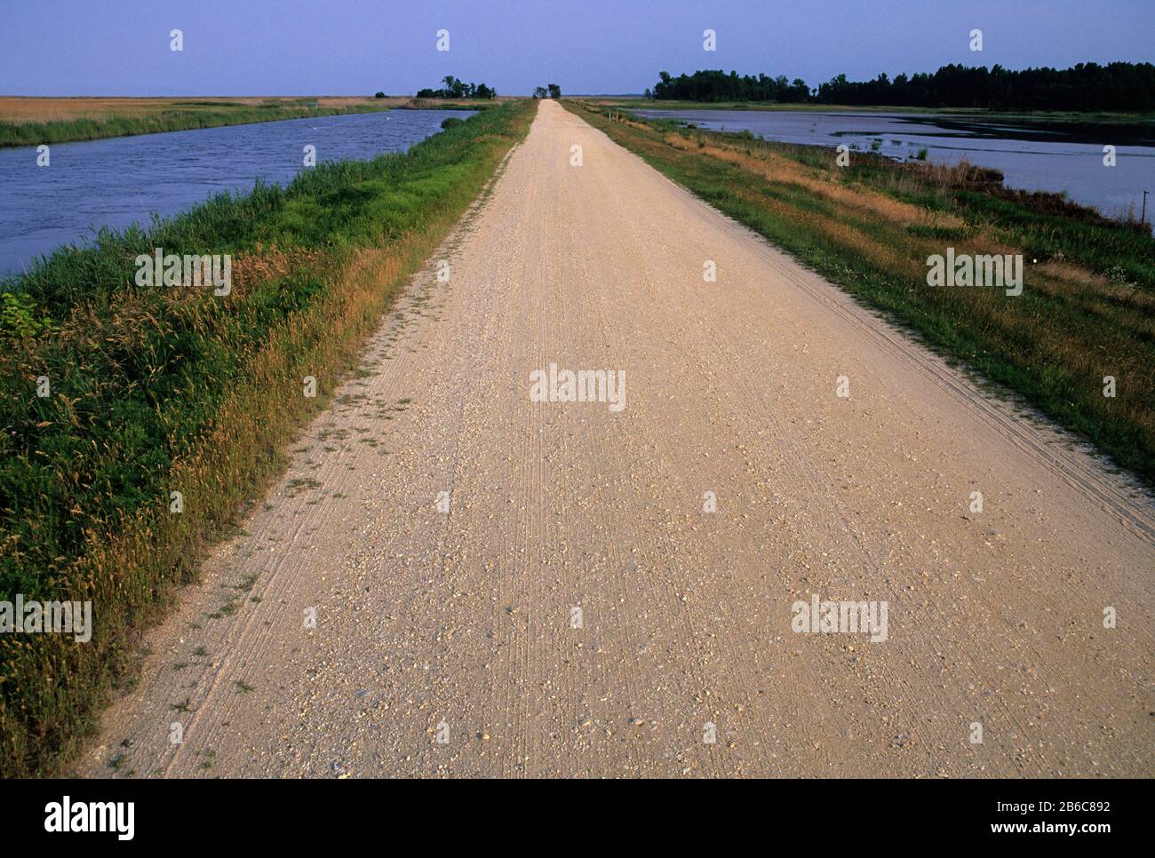 Wildlife Drive, Bombay Hook National Wildlife Refuge, Delaware Banque D'Images
