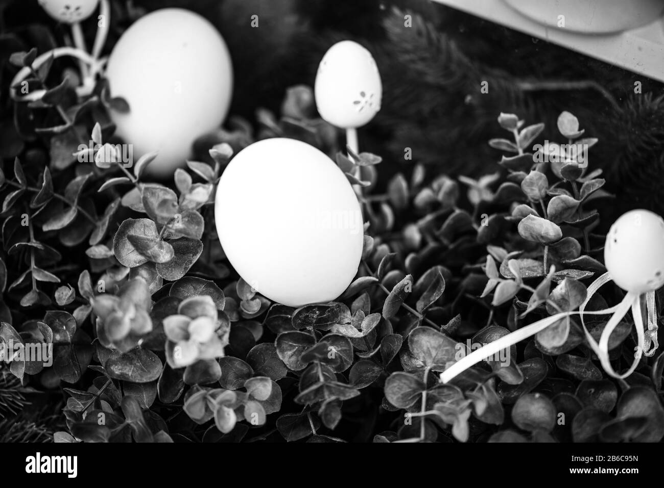 mélangez les fleurs d'été avec vue rapprochée Banque D'Images