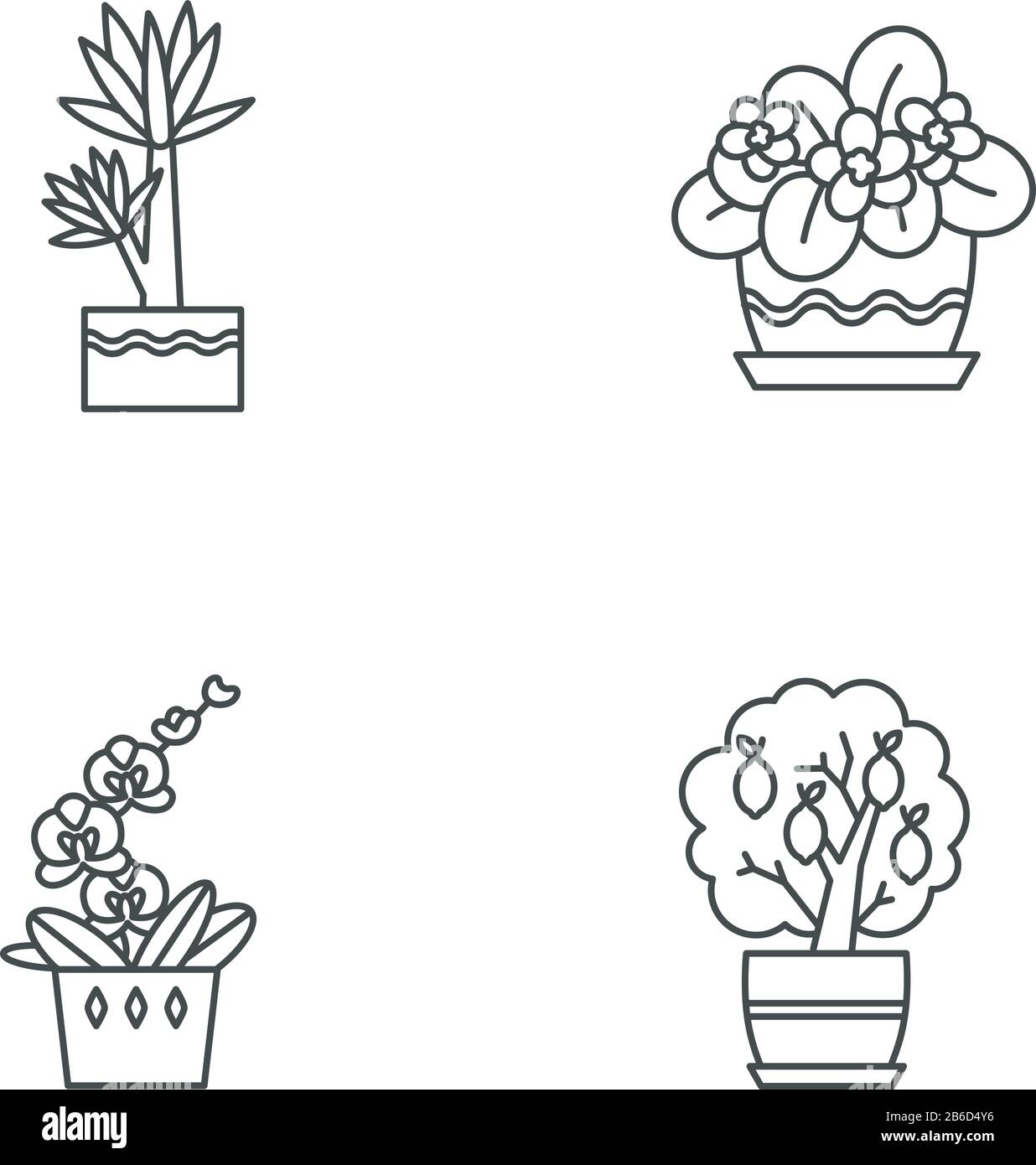 Plantes intérieures décoratives pixel parfait icônes linéaires ensemble. Plantes De La Maison. Orchid, yucca. Violet africain. Symboles de contour de ligne mince personnalisables. Isolé Illustration de Vecteur
