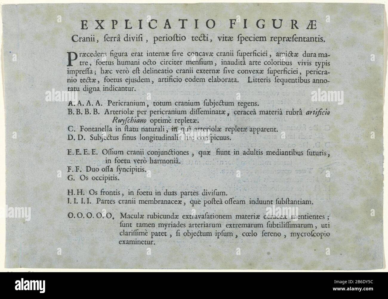 Feuille avec une déclaration de l'étude anatomique d'un crâne humain par Jan l'Admiral RP-P-1961-529 feuille avec une explication de l'étude anatomique d'un crâne humain par Jan l'Admiral Type de propriété: Fiche de texte Numéro d'article: RP-P-1961-529Catalogustine: Holllstein Dutch 4 Inscriptions / marques: Marque de collectionneur, verso, estampillée: Lugt 2228 Fabricant : auteur: Anonyme date: 1733 - 1738 Caractéristiques physiques: Impression sur papier bleu: Technique papier: Typographie dimensions: Feuille: H 179 mm × W 257 mm Banque D'Images