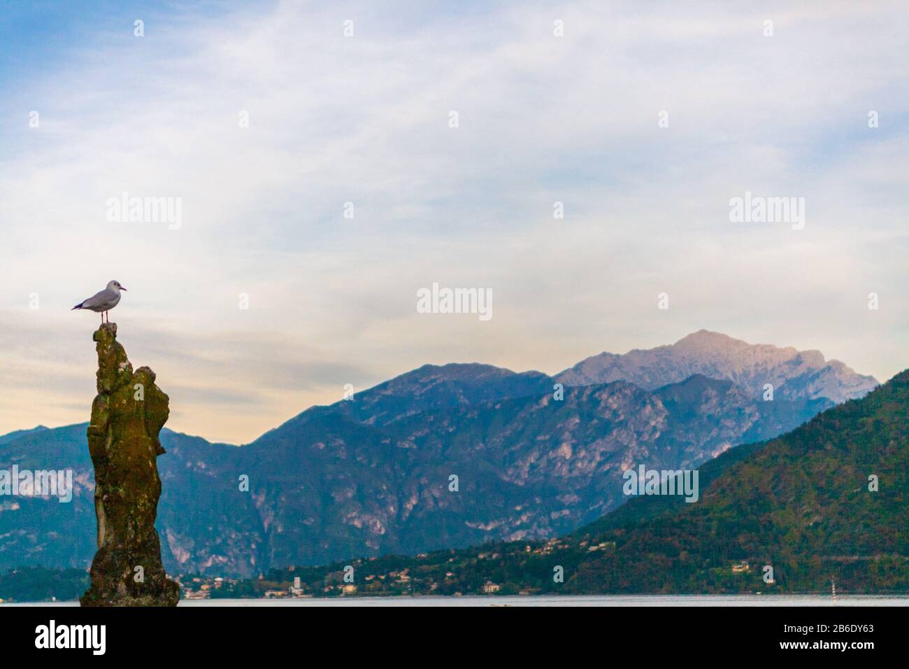 Un mouette sur un quai sur le lac de Côme au coucher du soleil, Italie Banque D'Images