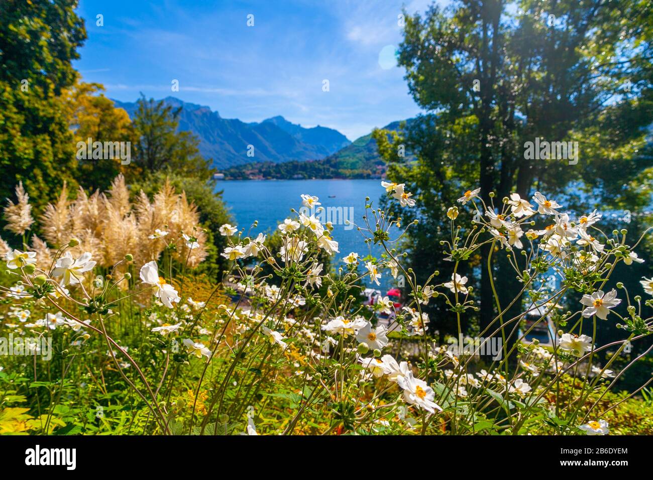 Paysage du lac de Côme, Lombardie, Italie, à travers des plantes et des fleurs Banque D'Images