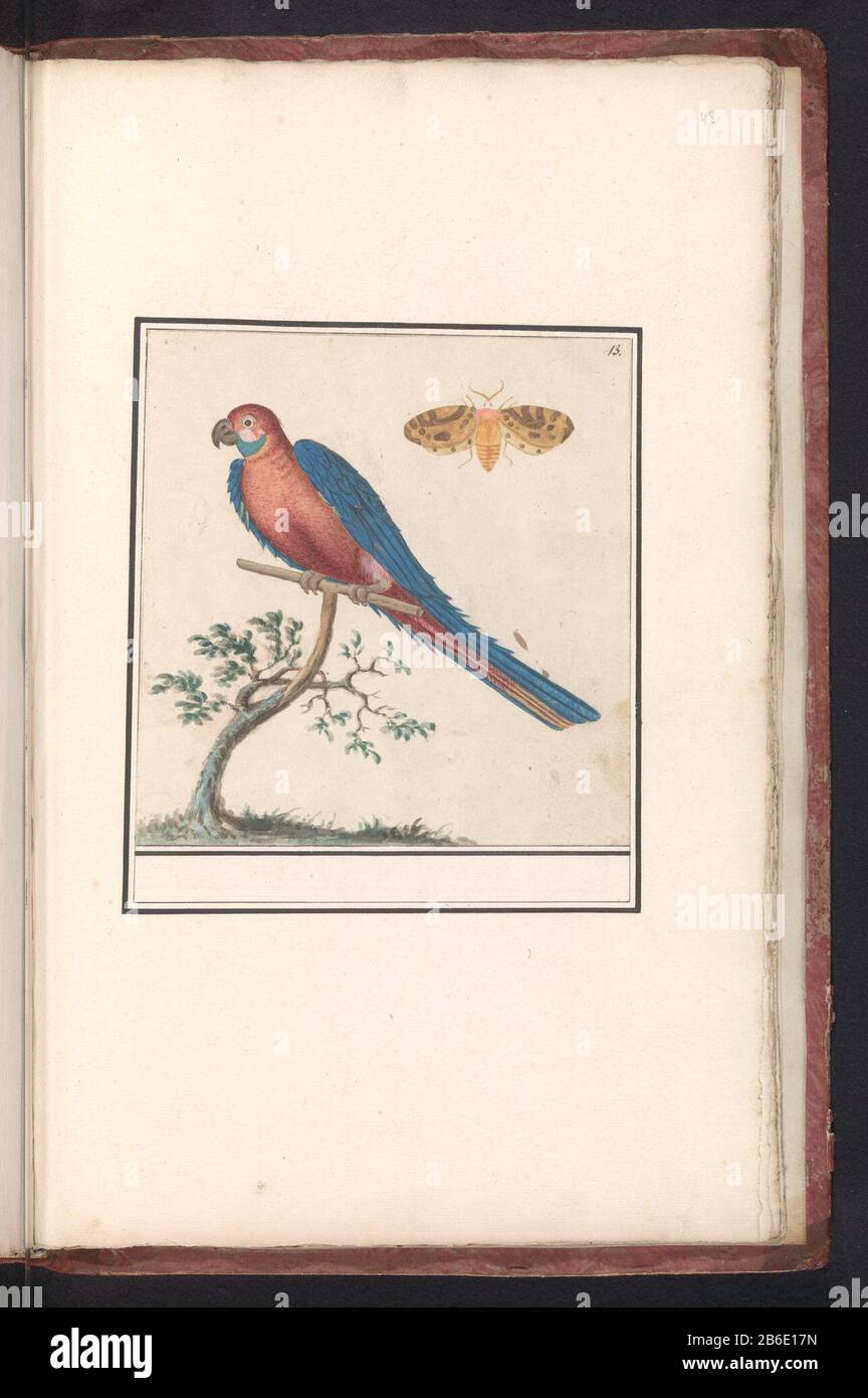 Ara jaune bleu (Ara ararauna) et un insecte Ara jaune bleu et un insecte. Numéroté en haut à droite: 13. Partie du deuxième album avec des dessins d'oiseaux. Quatrième douze albums avec des dessins d'animaux, d'oiseaux et de plantes sont connus vers 1600, faits par ordre de l'empereur Rudolf II Avec Notes en néerlandais, latin et Frans. Fabricant : artiste: Anselm Boëtius The Boodt artiste: Elias Verhulst Lieu de fabrication: Artiste: Prague artiste: Delft Dating: 1596 - 1610 Caractéristiques physiques: Pinceau en aquarelle et couleur du corps, rehaussé de couleur blanche du corps, crayon matériau: Papier aquarelle crayon couleur du corps Banque D'Images