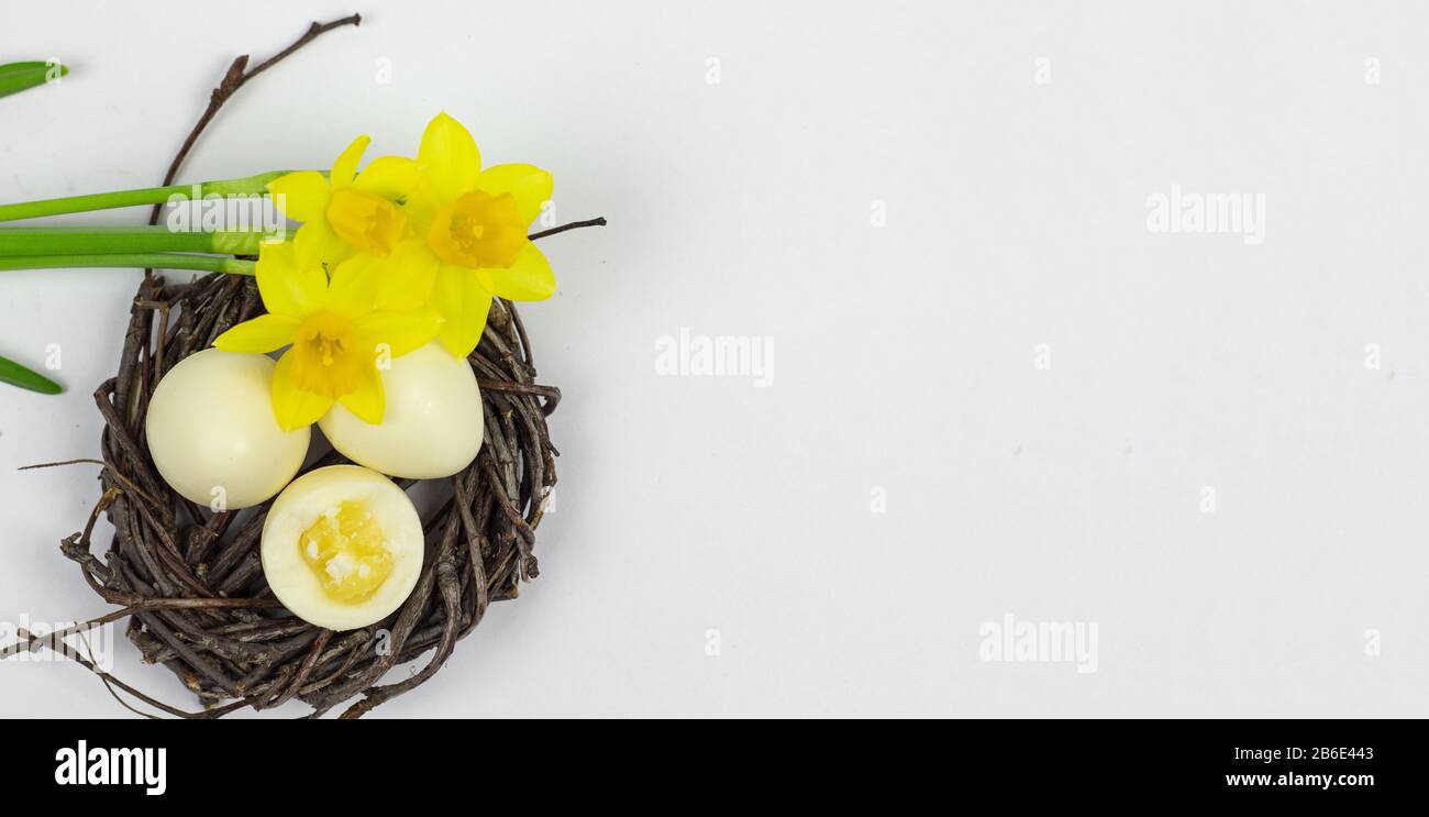 Œufs de Pâques. Bonne carte de pâques. Fond de Pâques. Œufs de Pâques b jonquilles. Symbole Pâques. Carte de Pâques. Bannière. Espace de copie Banque D'Images