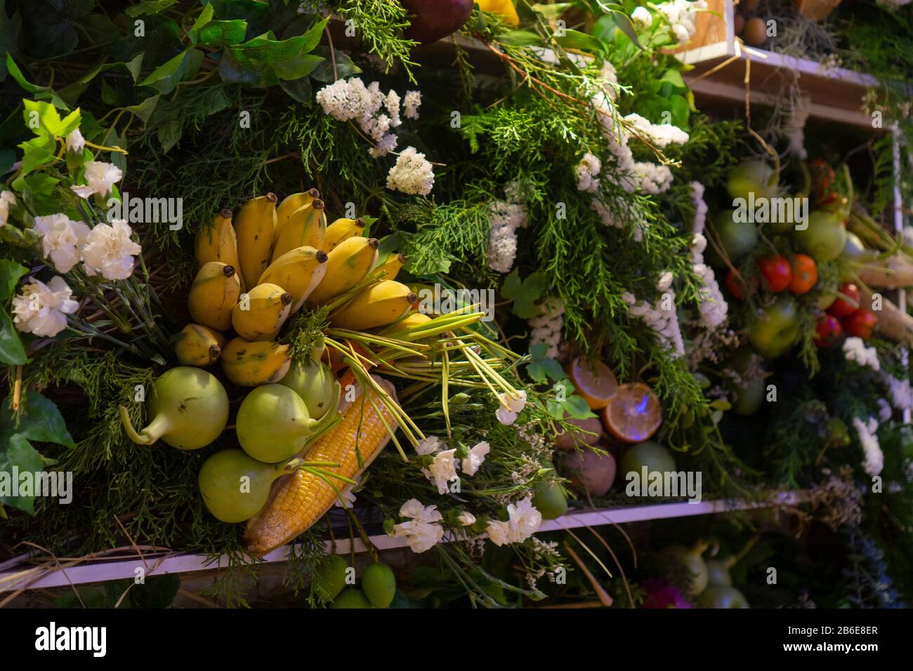 Divers types de fruits tropicaux sont placés de diverses façons. Banque D'Images