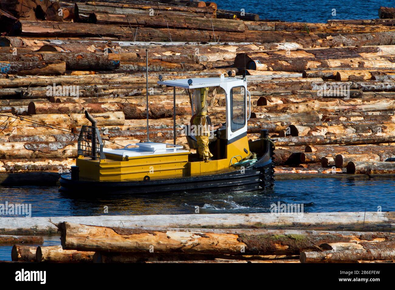 Bateau à perche travaillant avec des booms en bois près de Harmac Pacific Pulp Mill, Nanaimo, île de Vancouver, C.-B., Canada Banque D'Images