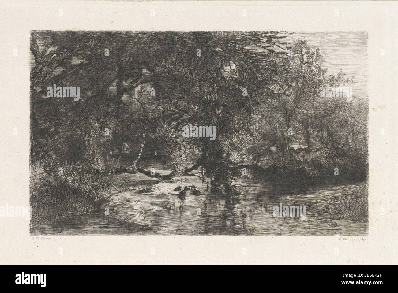 Arbres le long de l'eau Paysage Boisé avec eau de premier plan. Fabricant : printmaker Willem Steelink ( I) (montré sur l'objet) à peindre par: John Warnardus Bilders (indiqué sur l'objet) Lieu de fabrication: Amsterdam Date: 1836 - 1913 Caractéristiques physiques: Gravure avec un matériau de ton: Papier: Gravure technique / mesure de ton de plaque: Arête: H 170 mm × W 255 mm Objet: Forêt, Woodbrook Banque D'Images