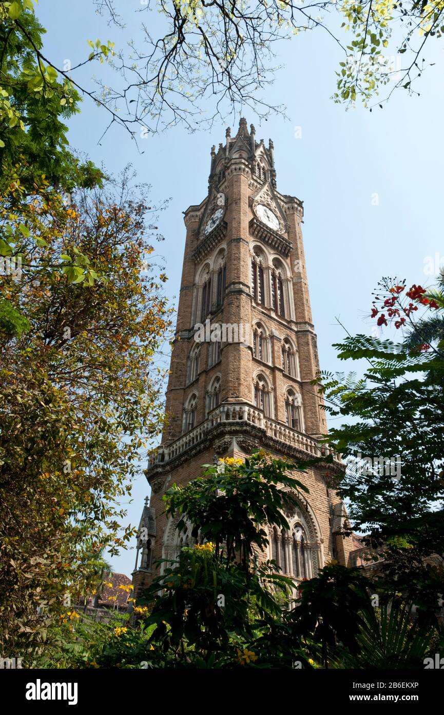 Vue à bas angle d'une tour d'horloge de l'Université de Mumbai, Mumbai, Maharashtra, Inde Banque D'Images