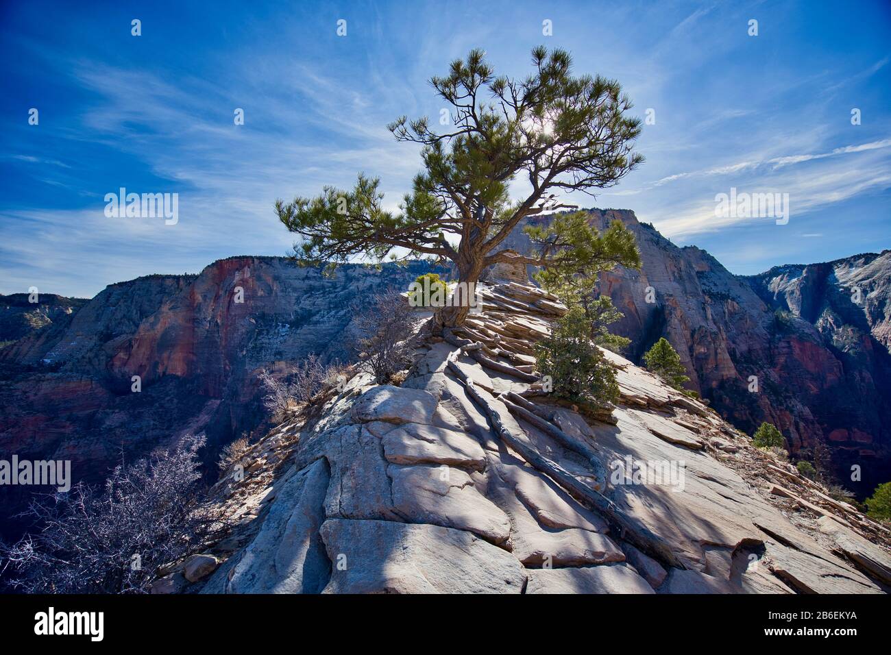 Zion National Park Banque D'Images