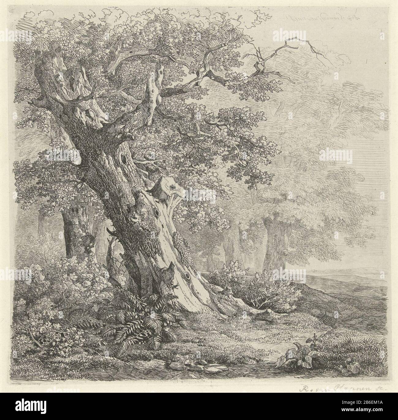 Arbre dans un paysage UN tronc de chêne mansardé gauche dans une forêt avec le pied quelques varens. Fabricant : printmaker: Remigius Adrianus Haanen (personnellement signé) Lieu de fabrication: Autriche Date: 1848 Caractéristiques physiques: Gravure sur chine collé matériel: Papier chine collé technologie : gravure / écriture taille: Bord de la plaque: H 237 mm × W 235 mm Objet: Arbres (+ parties de plantes) Banque D'Images