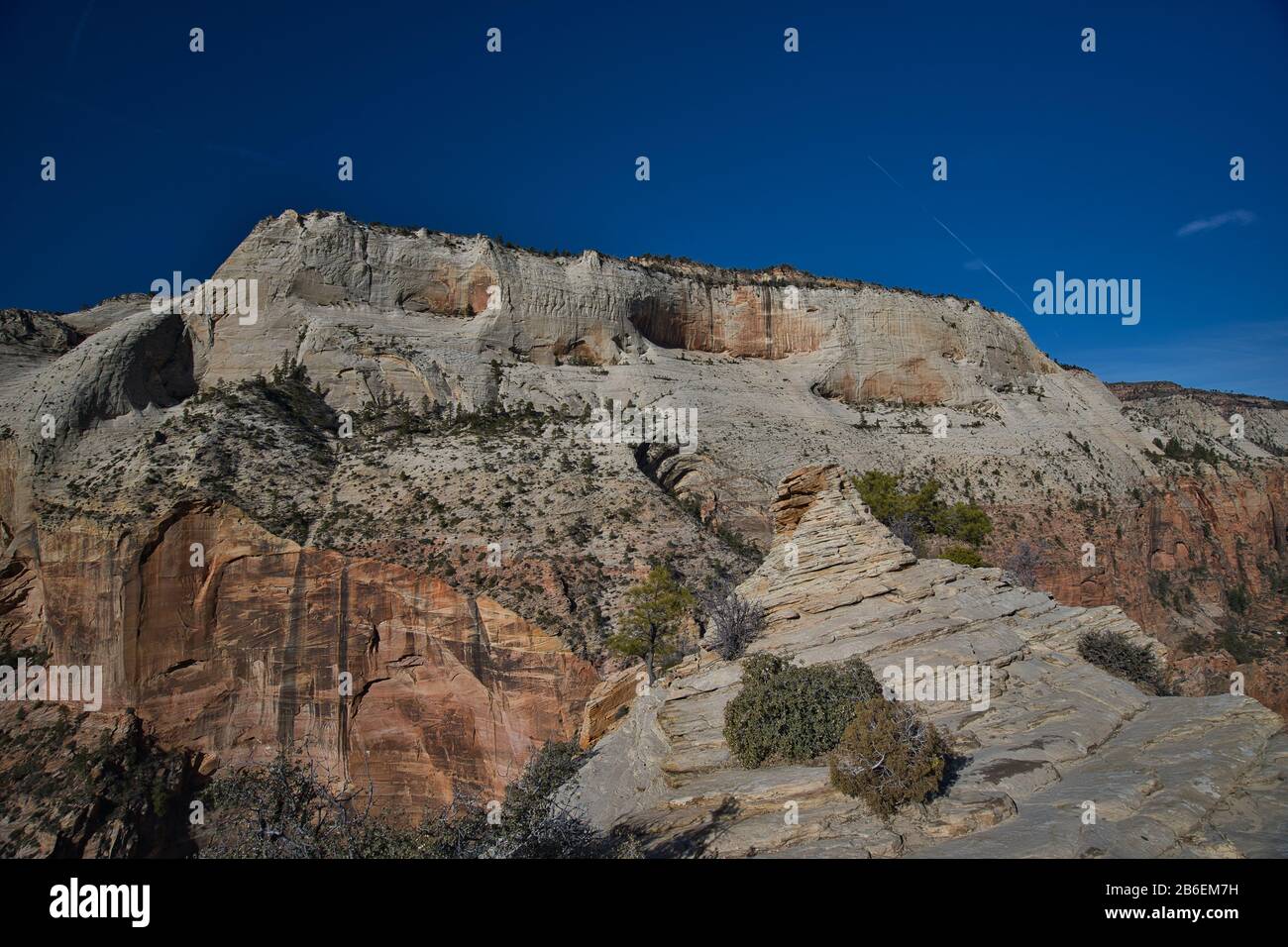 Zion National Park Banque D'Images