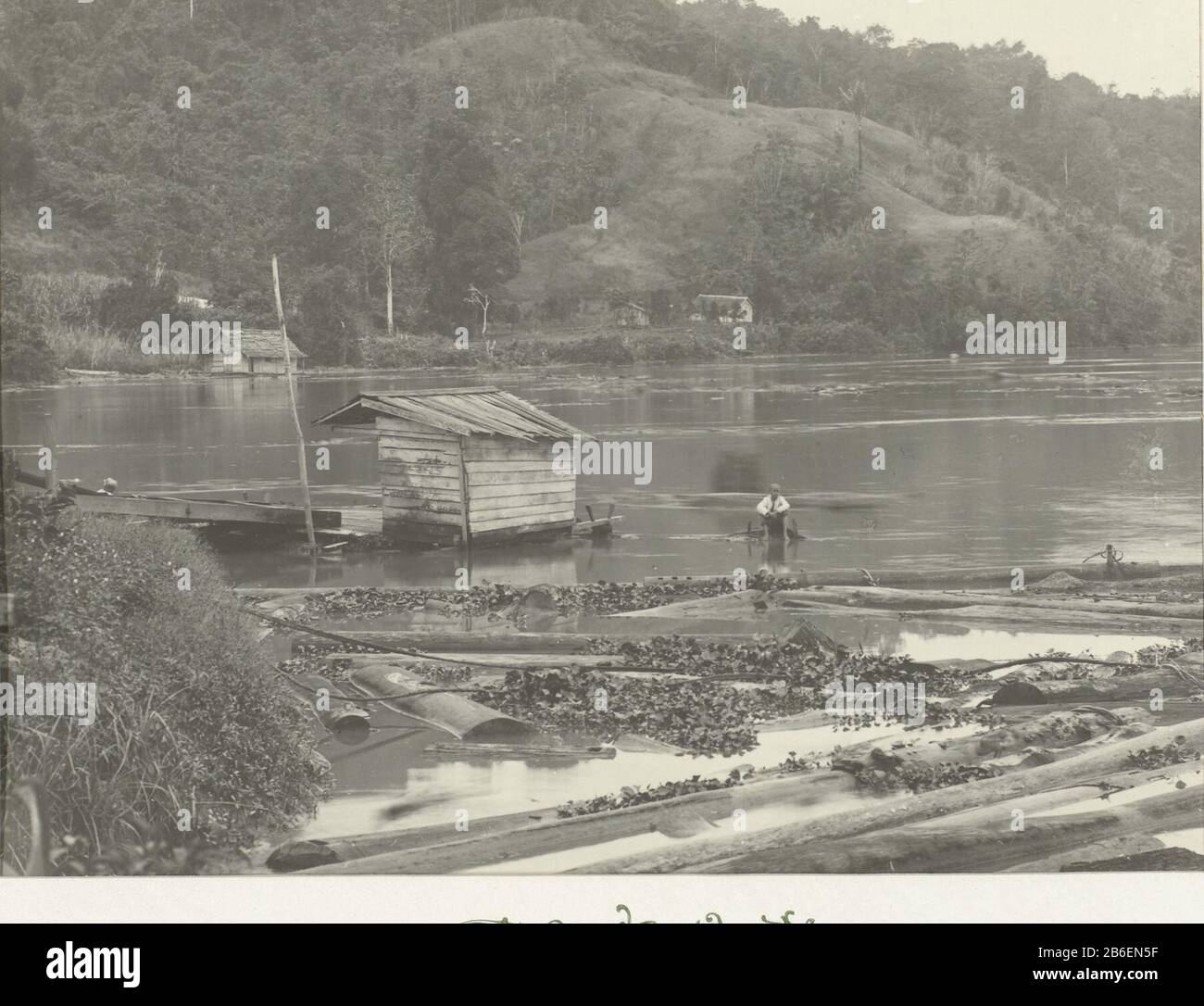 Troncs dans l'eau Voir les rives d'une rivière ou d'un lac avec des grumes flottant dans l'eau. Photo dans l'album photo sur l'extraction de pétrole à Bornéo par la Royal Dutch Petroleum Company (KNPM) dans les années 1903-1907. Fabricant : Photographe: Fabrication anonyme de lieux: Kalimantan Dating: 1903 - 1907 Caractéristiques physiques: Gélatine argent imprimé matériel: Papier technique: Gélatine argent imprimé dimensions: Dimensions de dégagement: H 215 mm × W 280 mblad: H 385 mm × W 440 mm Date: 1903 - 1907 Banque D'Images
