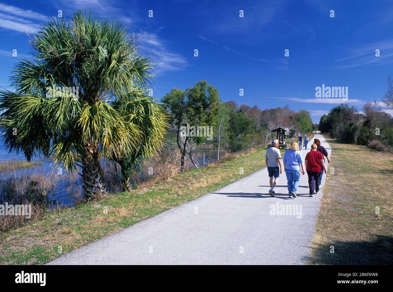 Sentier Au Lac Henderson, Withlacoochee Trail State Park, Floride Banque D'Images