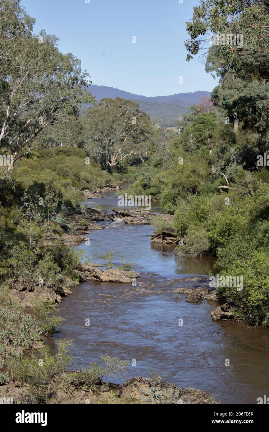 Buffalo River, Victoria, a contaminé les cendres de l'eau des récentes pluies après 2019 - 2020 feux de brousse en Australie. Banque D'Images