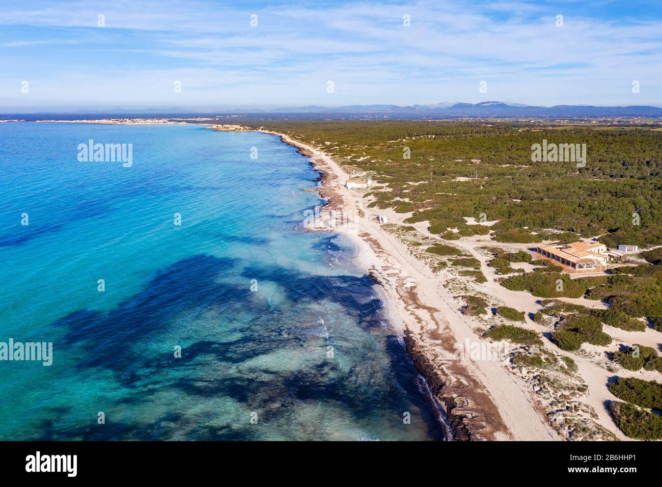 Plage d'es Trenc, Parc naturel d'es Trenc-Salobrar de Campos, près de Colonia Sant Jordi, région de Migjorn, Majorque, Iles Baléares, Espagne Banque D'Images