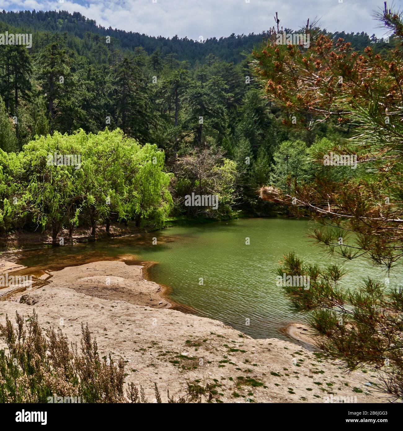 Thassos Island, Grèce, Europe, le petit lac du village de Kastro dans le mont Ypsarion Thassos est une île grecque dans le nord de la mer Égée, près de la côte de Thrace. C'est l'île la plus au nord de la Grèce, et la 12ème plus grande par région. Thassos est aussi le nom de la plus grande ville de l'île, plus connue sous le nom de Limenas, capitale de Thassos, située au nord, en face du continent. Banque D'Images