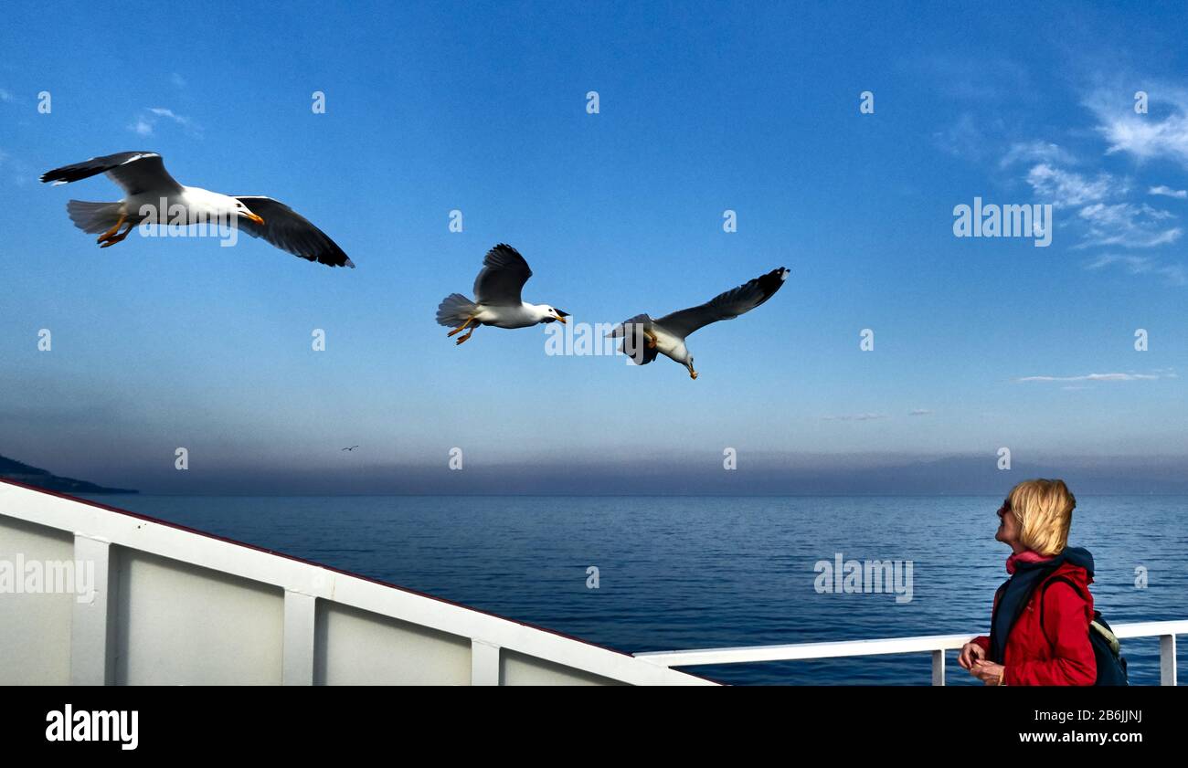 Thassos Island, Grèce, Europe, sur le bateau une femme regarde les mouettes qui volent dans le ciel de la mer Égée Banque D'Images