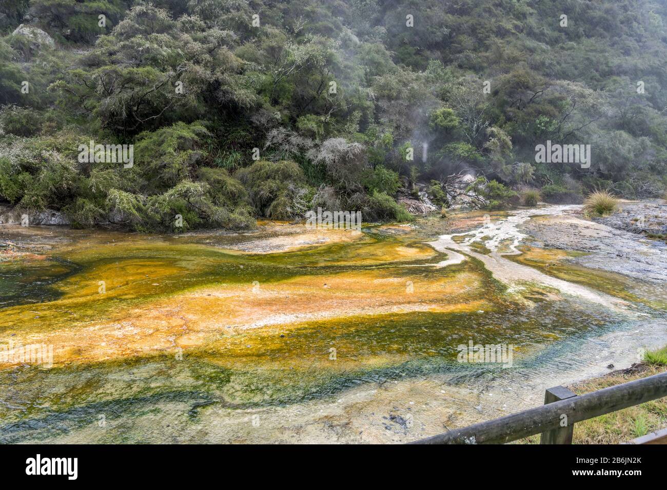 Paysage du parc de la vallée de Waimangu avec de grands sédiments minéraux de couleur incrustée, tiré en lumière de printemps tardive trouble à Rotorua, île du Nord, New Zealan Banque D'Images