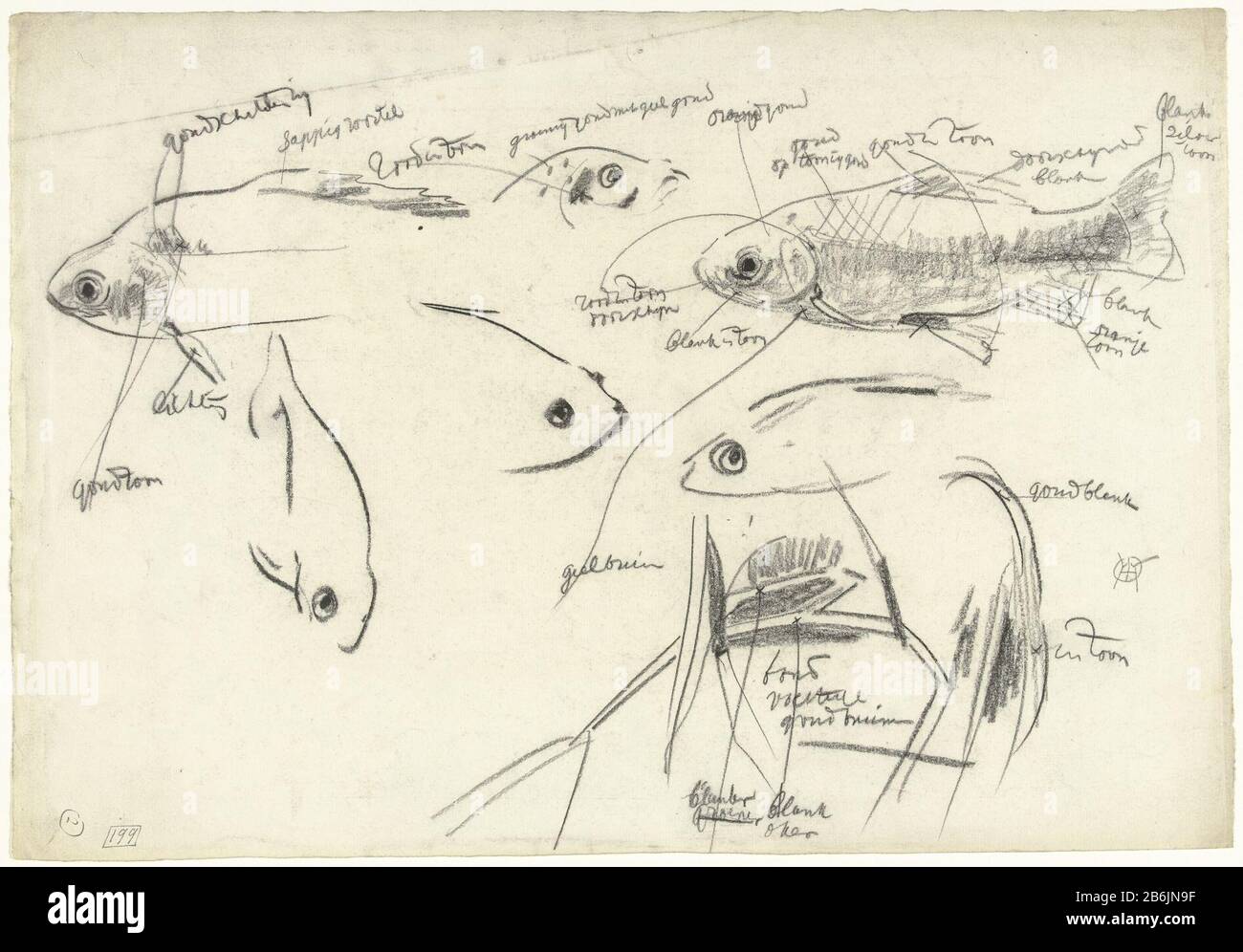 Études détaillées de poissons, avec notes de couleur études Détaillées de poissons, avec note de couleur type d'objet: Dessin Numéro d'objet: RP-T 1969-793 Fabricant : artiste: Gerrit Willem Dijsselhof Date: 1876 - 1924 Caractéristiques physiques: Matière de craie noire: Craie de papier Dimensions: H 290 mm × W 418 mm Sujet : poissons osseux Banque D'Images